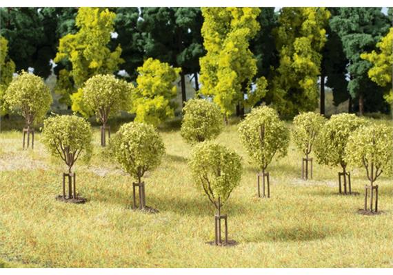 Auhagen 70950 Junge Bäume H0, TT, N | Bild 3