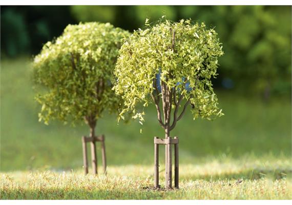 Auhagen 70950 Junge Bäume H0, TT, N | Bild 1