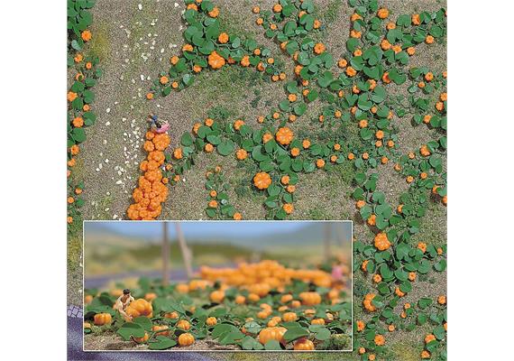 Busch 1201 Kürbisfeld - H0 (1:87)