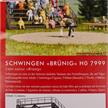 Busch 7999 Set-B Schwinger "Brünig", limitierte Sonderserie - H0 (1:87) | Bild 1