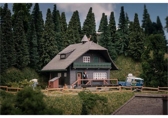 Faller 130010 Jubiläumsmodell Schwarzwaldhaus mit Figur - H0 (1:87) | Bild 1