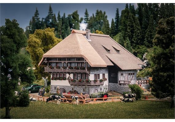 Faller 130013 Jubiläumsmodell Schwarzwaldhof mit 2 Figuren - H0 (1:87) | Bild 1