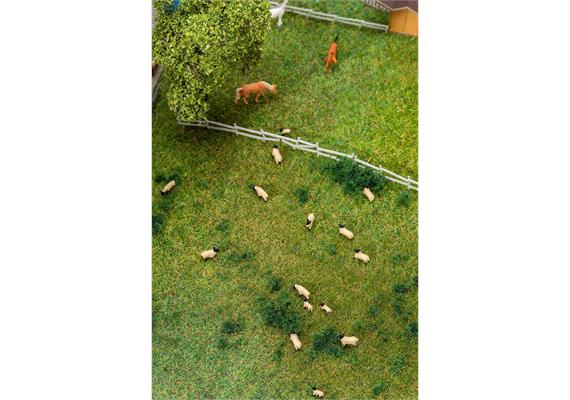 Faller 155906 20 Schwarzkopfschafe - N (1:160) | Bild 2