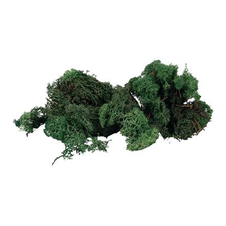 Faller 170431 Islandmoos, grün, 50 g