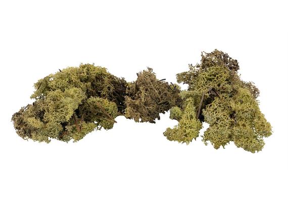 Faller 170432 Islandmoos, olivgrün, 50 g | Bild 1