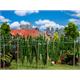Faller 181280 Hopfenfeld mit Stangen, H0 1:87
