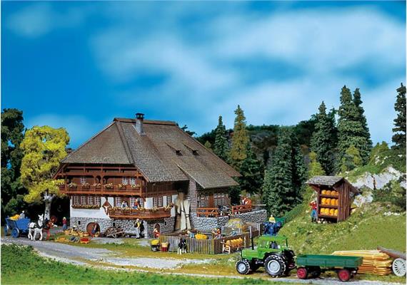 Faller Schwarzwaldhof Spur H0
