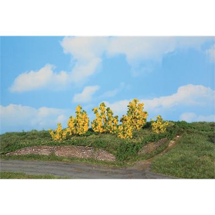 HEKI 11800 6 Forsythiensträucher, 3 - 6 cm