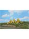 HEKI 11800 6 Forsythiensträucher, 3 - 6 cm