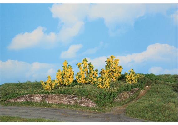 HEKI 11800 6 Forsythiensträucher, 3 - 6 cm