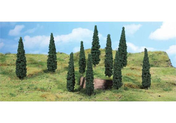 HEKI 1191 5 Zypressen 12 - 14 cm