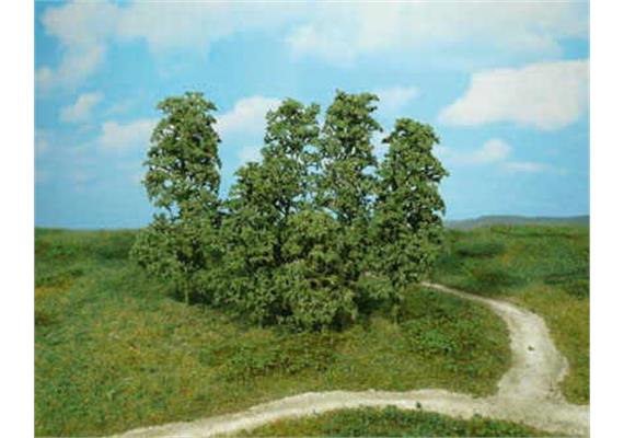 Heki 1642 12 Naturbäume dunkelgrün