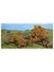 HEKI 1674 Blätterbüsche herbstlich, 20 Stk.