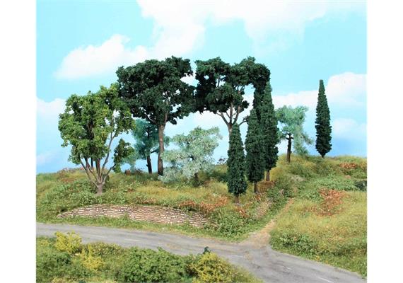 HEKI 1774 Mediterranes Baumset, 11 Bäume 8 - 17 cm