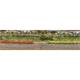 HEKI 1814 10 Grasstreifen gelb-rot, 100 mm lang, 6 mm hoch