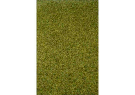 HEKI 1861 kreativ Wildgras Waldboden, 45 x 17 cm