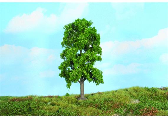 Heki 19104 1 Linde, 18 cm