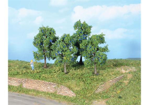 HEKI 19114 4 Zwetschgenbäume, 6 + 9 cm