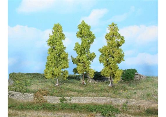 HEKI 19116 3 Birken, 14 cm