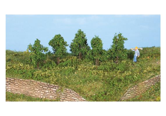 HEKI 19130 5 Laubbäume