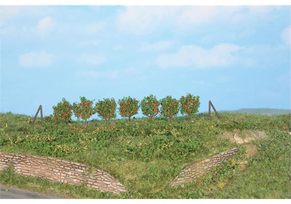 HEKI 19135 Spalierobst, 36 Stk ca 2,5 cm inkl. Spannpfosten - H0 bis Z