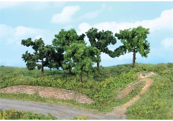 HEKI 1935 5 Obstbäume, 8 - 10 cm