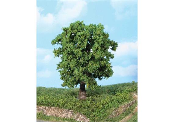 HEKI 1944 1 Kastanie 18 cm