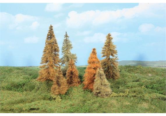 HEKI 2178 7 Lärchen herbst, 7 - 11 cm