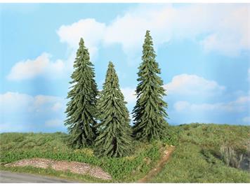 HEKI 21800 3 Wetterfichten, 18 - 22 cm