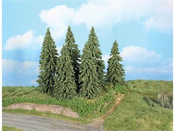 HEKI 21801 6 Wetterfichten, 14 - 18 cm