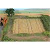 HEKI 33520 Stoppelfeld Grasfaser 2 - 3 mm, 50 g