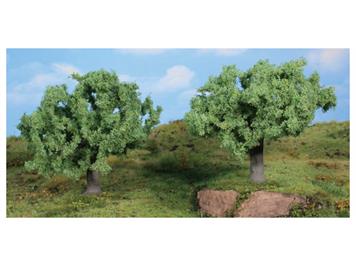 HEKI 1771 Olivenbäume, 11 cm