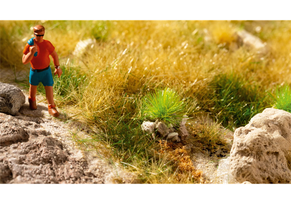 Noch 06921 PROFI-Grasbüschel “steinig” | Bild 5