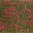 Noch 07257 Bodendecker-Foliage Wiese rot, 12 x 18 cm | Bild 1