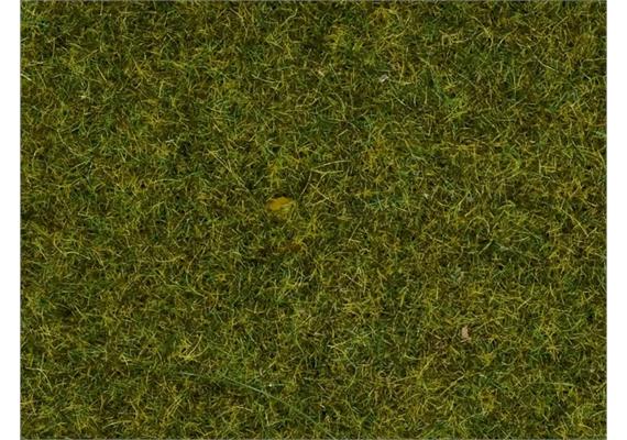 NOCH 08312 Streugras “Wiese”, 20 g | Bild 2