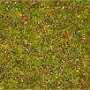 NOCH 08330 Streugras “Blumenwiese”, 20 g | Bild 2