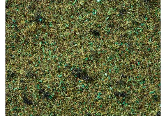 Noch 08350 Streugras “Waldboden”, 20 g | Bild 2