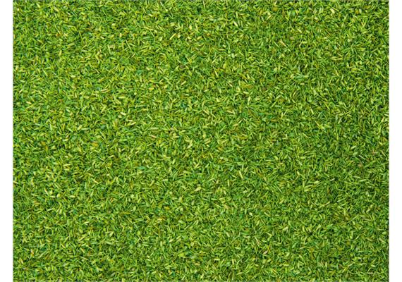 Noch 08411 Streumaterial hellgrün, 150 g | Bild 2