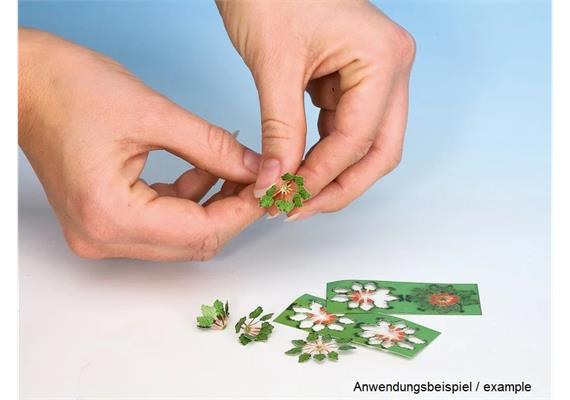 Noch 14102 Laser-Cut minis "Schilf" - H0 (1:87) | Bild 4