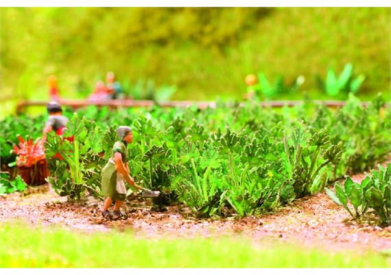 Noch 14112 Laser-Cut minis "Zucchini" - H0 (1:87) | Bild 1