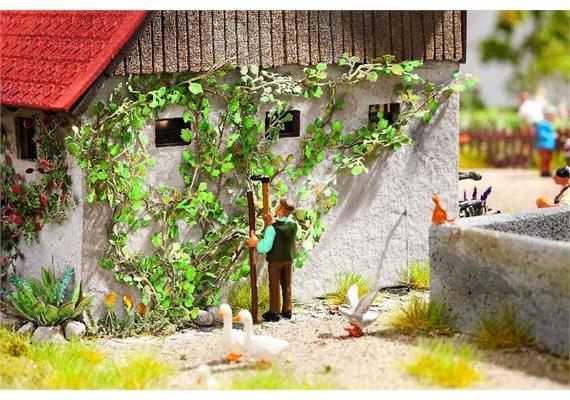 Noch 14132 Laser-Cut minis "Wilder Wein" H0 - (1:87)