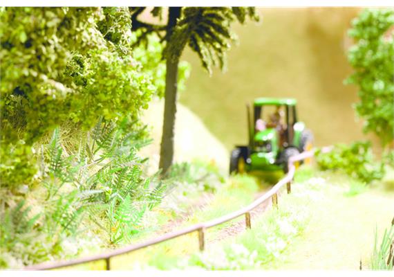 NOCH 14606 Laser-Cut minis "Farn" N | Bild 1