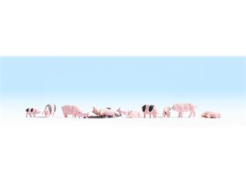 Noch 15712 Schweine - H0 (1:87)