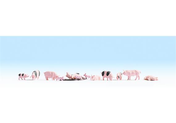 Noch 15712 Schweine - H0 (1:87) | Bild 1