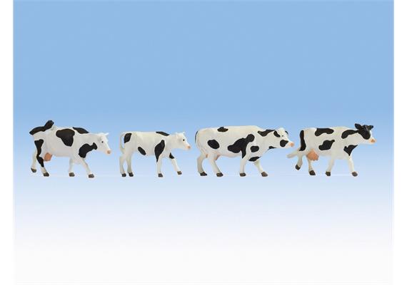 Noch 17900 Spur 0 Kühe, schwarz-weiss