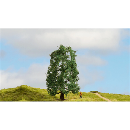 Noch 20110 Eiche, 15 cm hoch - H0, H0m, TT, N, Z, 0, 1, G