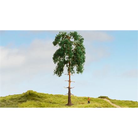 Noch 20141 Kiefer, 18 cm hoch