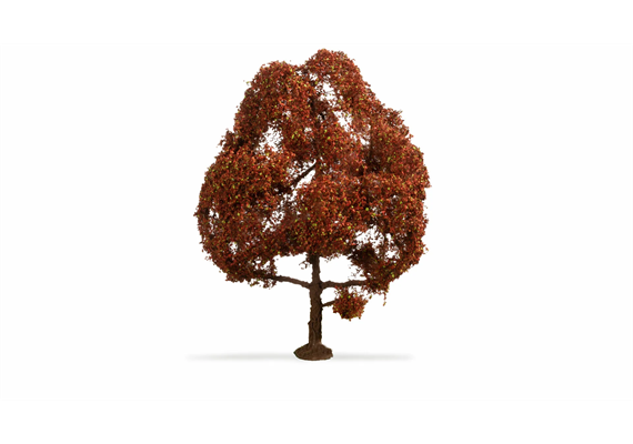 Noch 20150 Rotbuche, 15 cm hoch | Bild 2