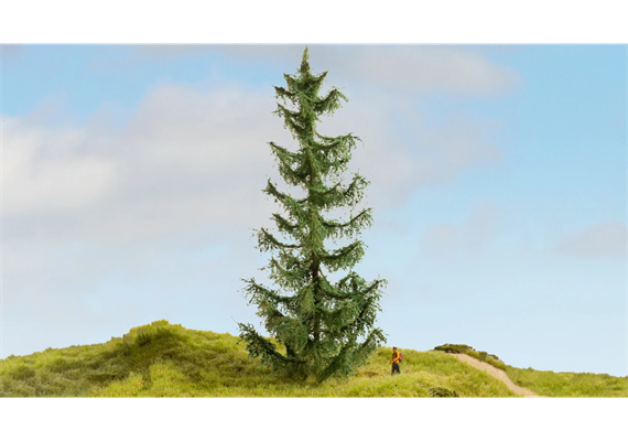 Noch 20191 Fichte, 22 cm hoch | Bild 1