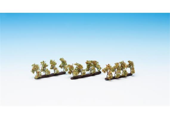 Noch 21532 Plantagenbäume mit Äpfeln - H0 (1:87) | Bild 1